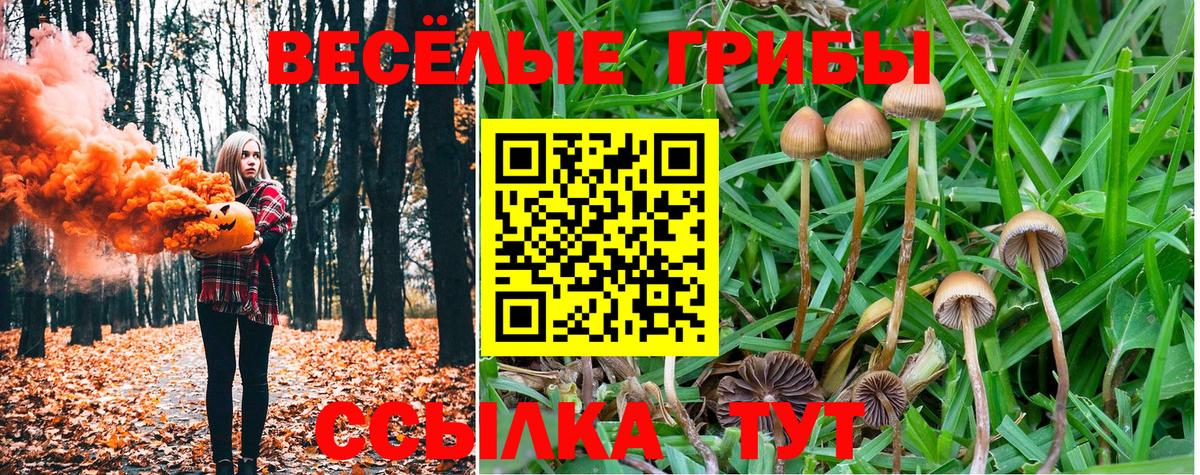 Псилоцибиновые грибы мицелий  Вход с VPN  Магадан  Псилоцибиновые грибы MAGIC MUSHROOMS 